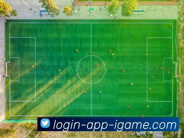 爱游戏APP平台生态图